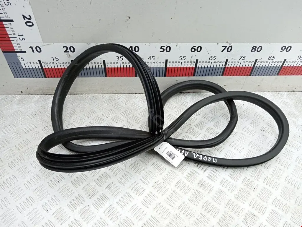 Уплотнитель двери 808321700R