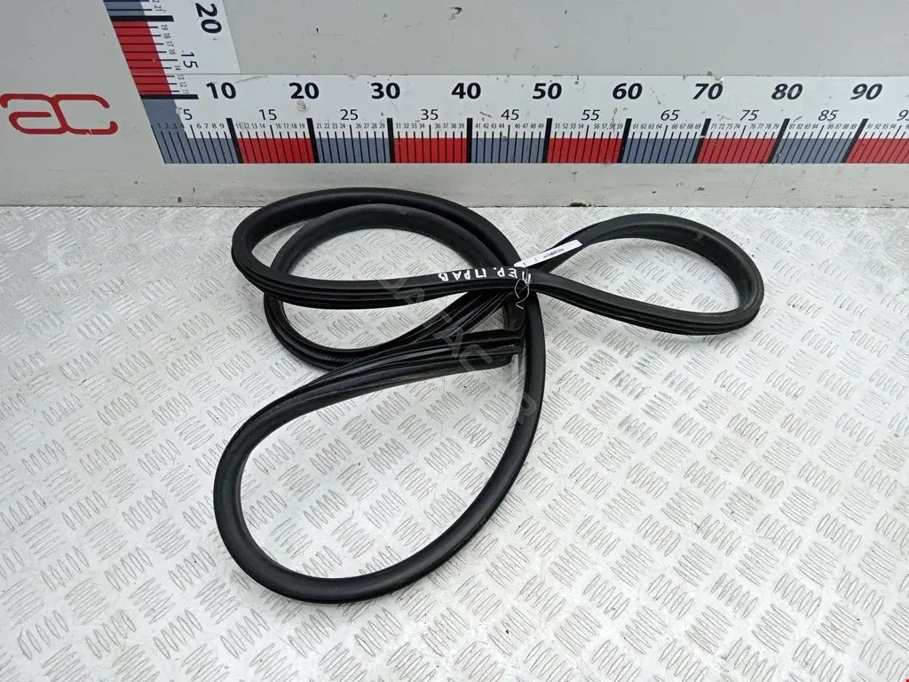 Уплотнитель двери 808321700R