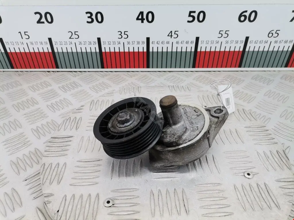 Натяжитель ремня генератора 0340081SX, 06635, 0N1435