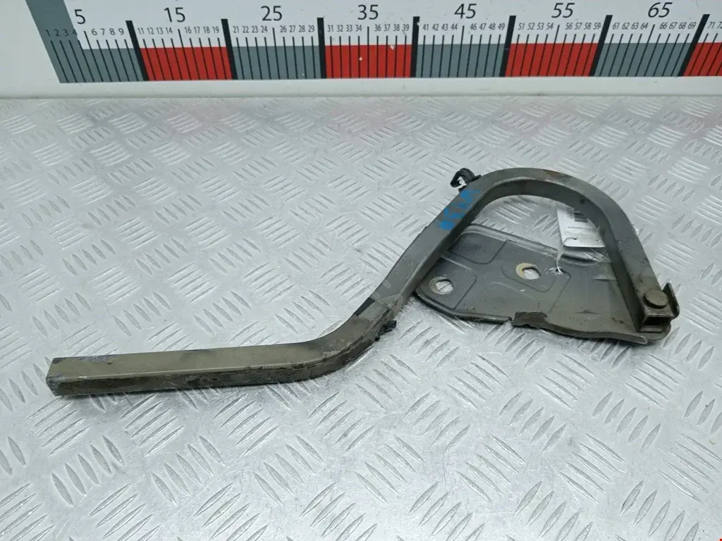 Петля капота 41617037433