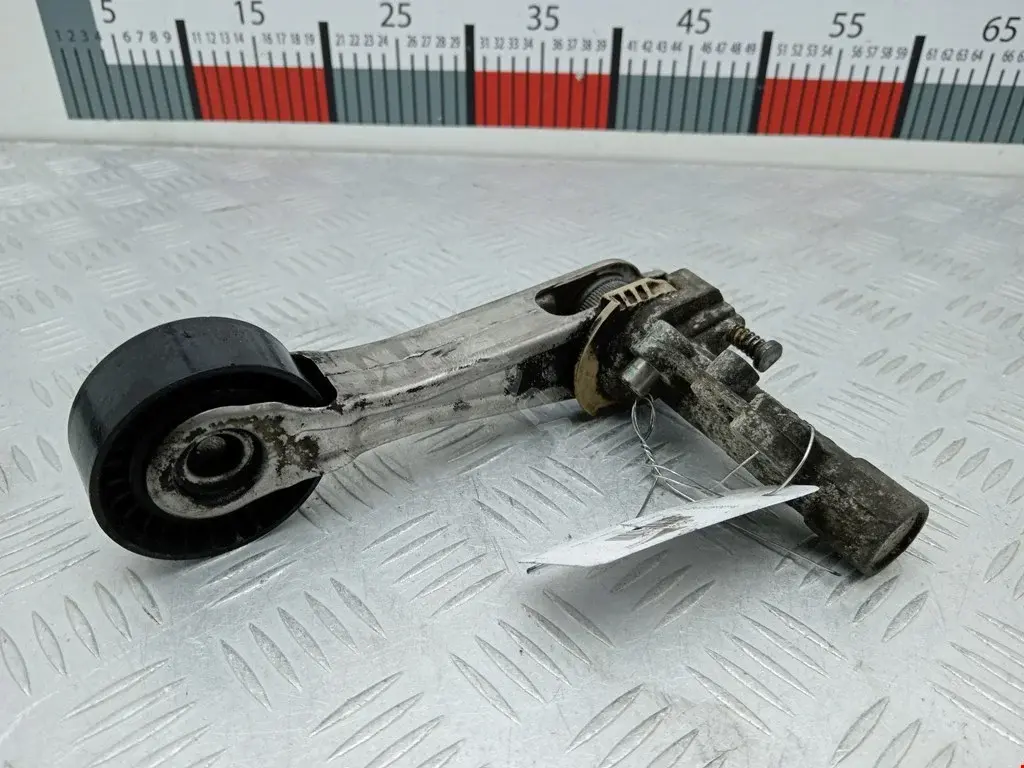 Натяжитель ремня генератора 0340583SX, 0N2055, 11287534398