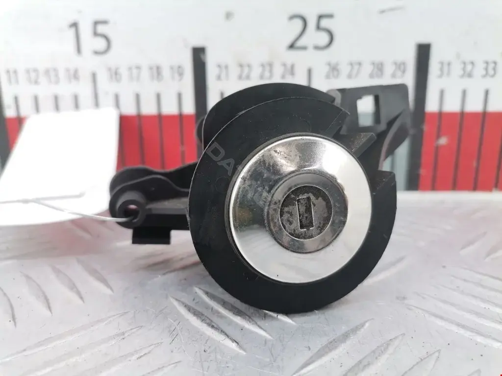 Личинка замка двери C2P8900
