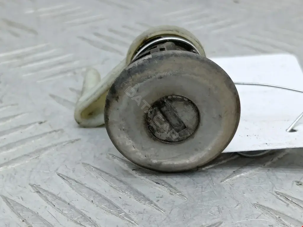 Личинка замка двери 2077238