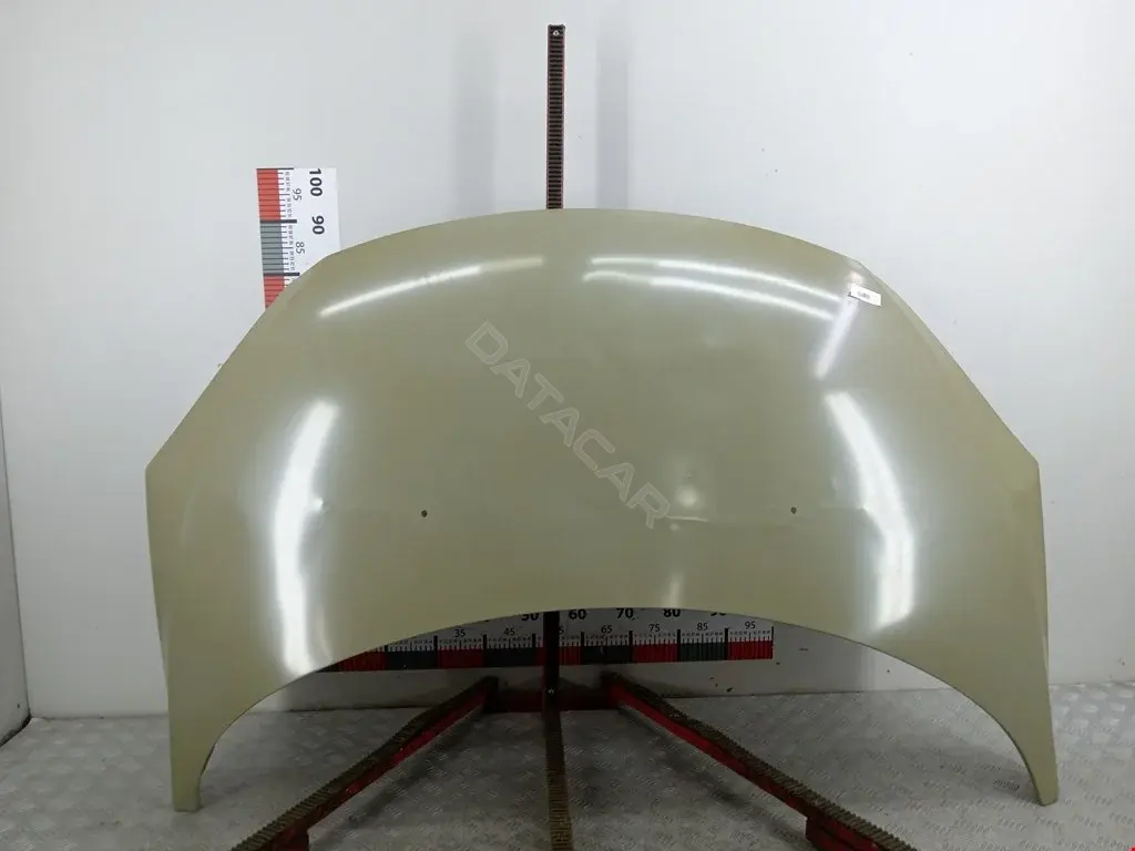 Капот 7901L9