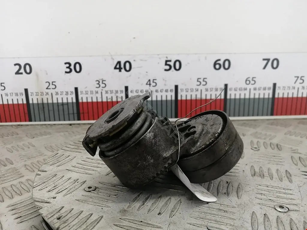 Натяжитель ремня генератора 1638137180, 8200673090, 8200905328