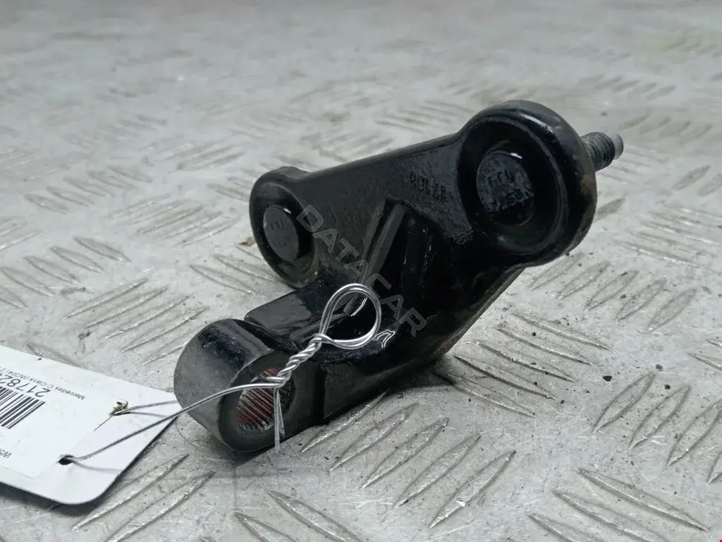 Петля двери 2178232