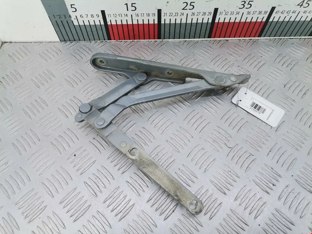 Петля крышки багажника 60618385