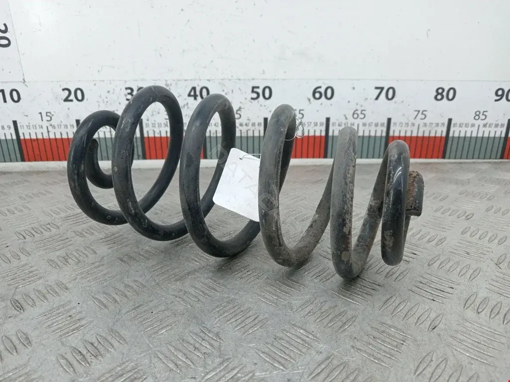 Пружины 03193, 1020043KSX, 1020043SX