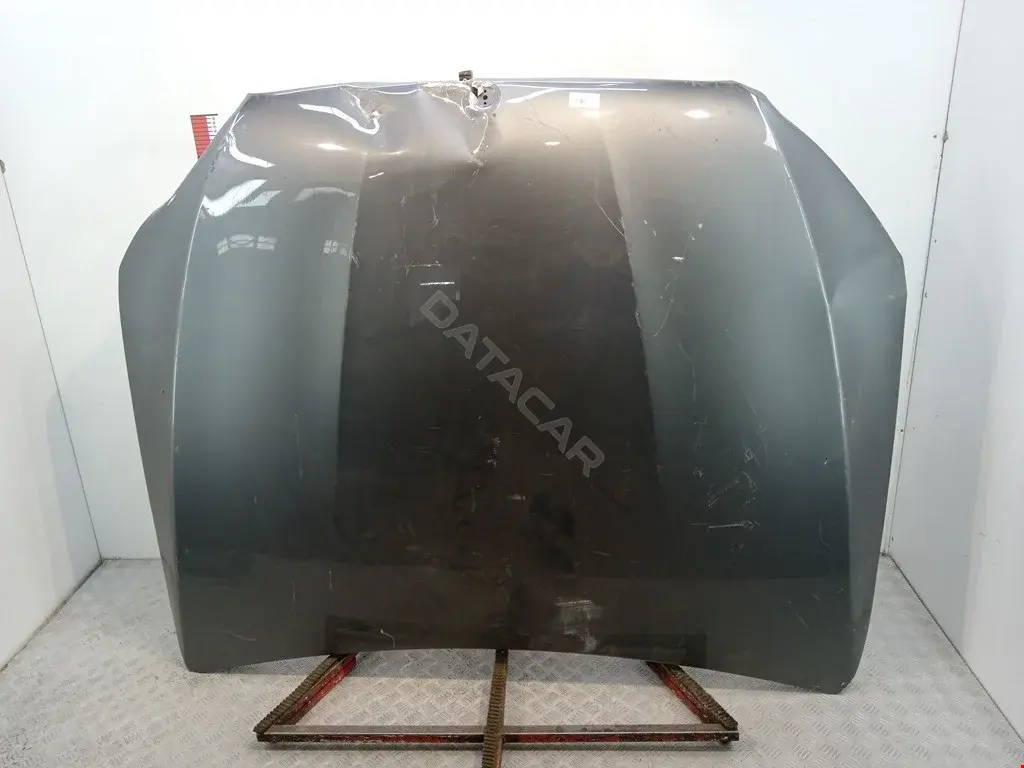 Капот A2538800157