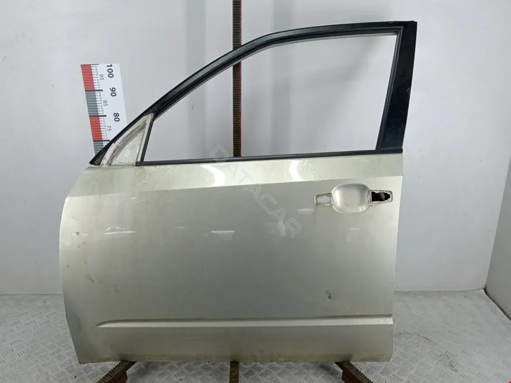 Дверь 60009SC0119P