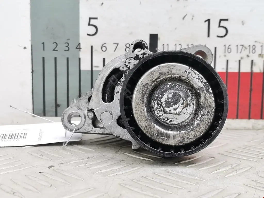 Натяжитель ремня генератора 1175000Q0F, 1192500Q0D, 1192500QAA