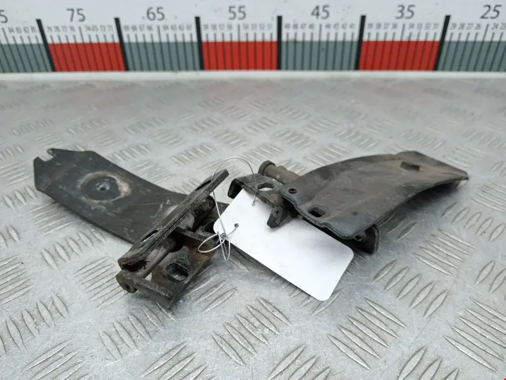 Петля крышки багажника 7701206965