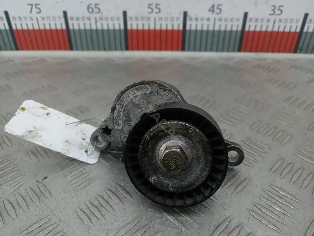 Натяжитель ремня генератора 1172000Q0C, 184509, 529031710