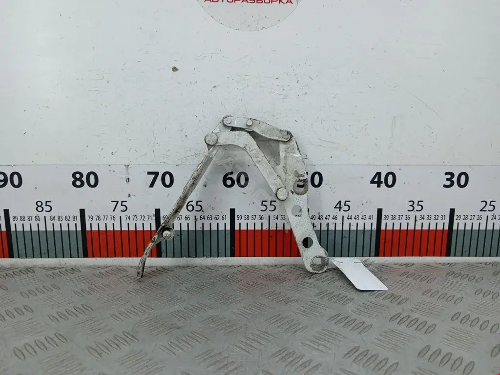 Петля капота 41617028577
