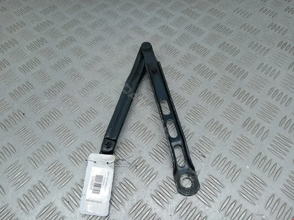 Петля капота 41611928563