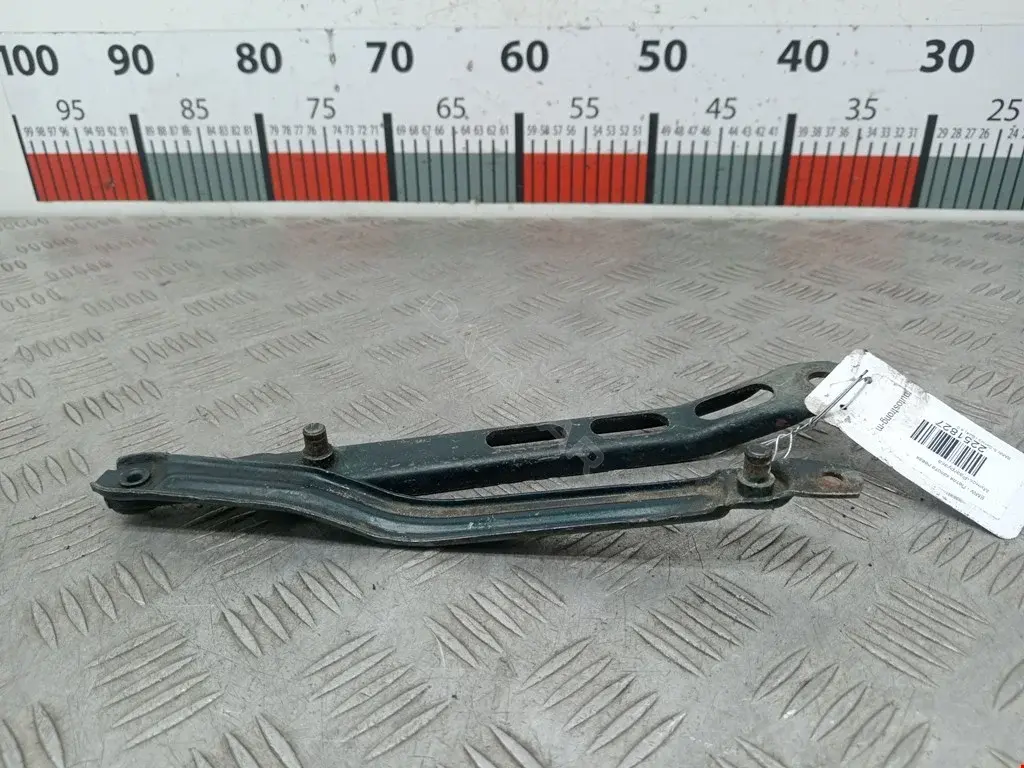 Петля капота 41611928563