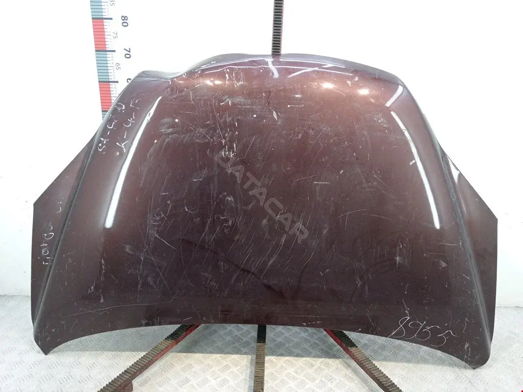Капот 60100SWWG00