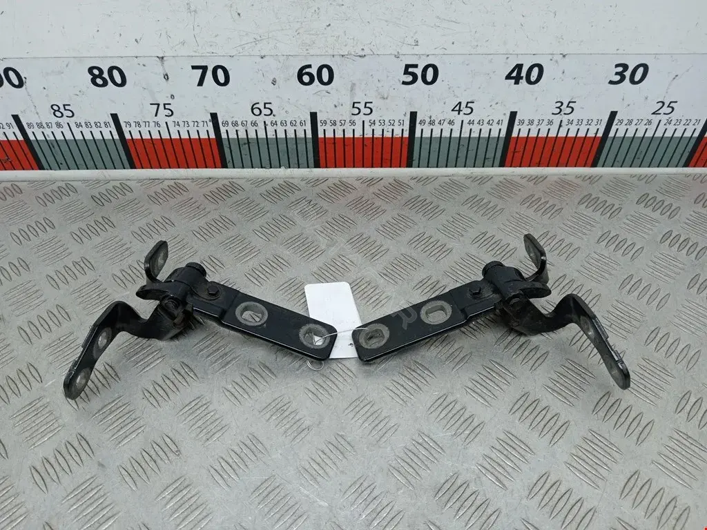 Петля крышки багажника 41627170918