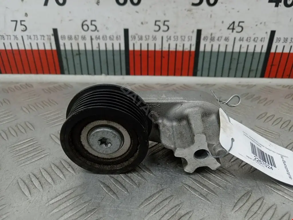 Натяжитель ремня генератора CW9319A216AA