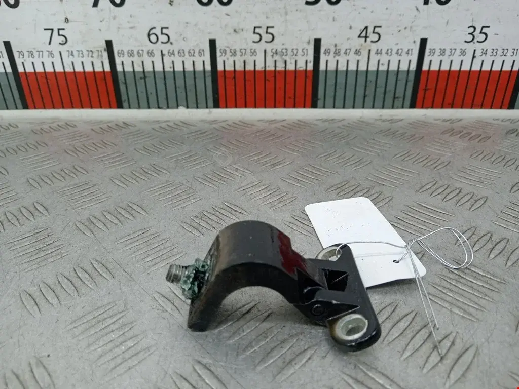Петля крышки багажника 1J9827301