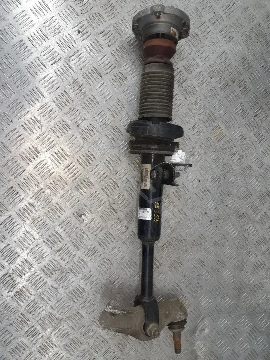 Амортизаторы 31316798153