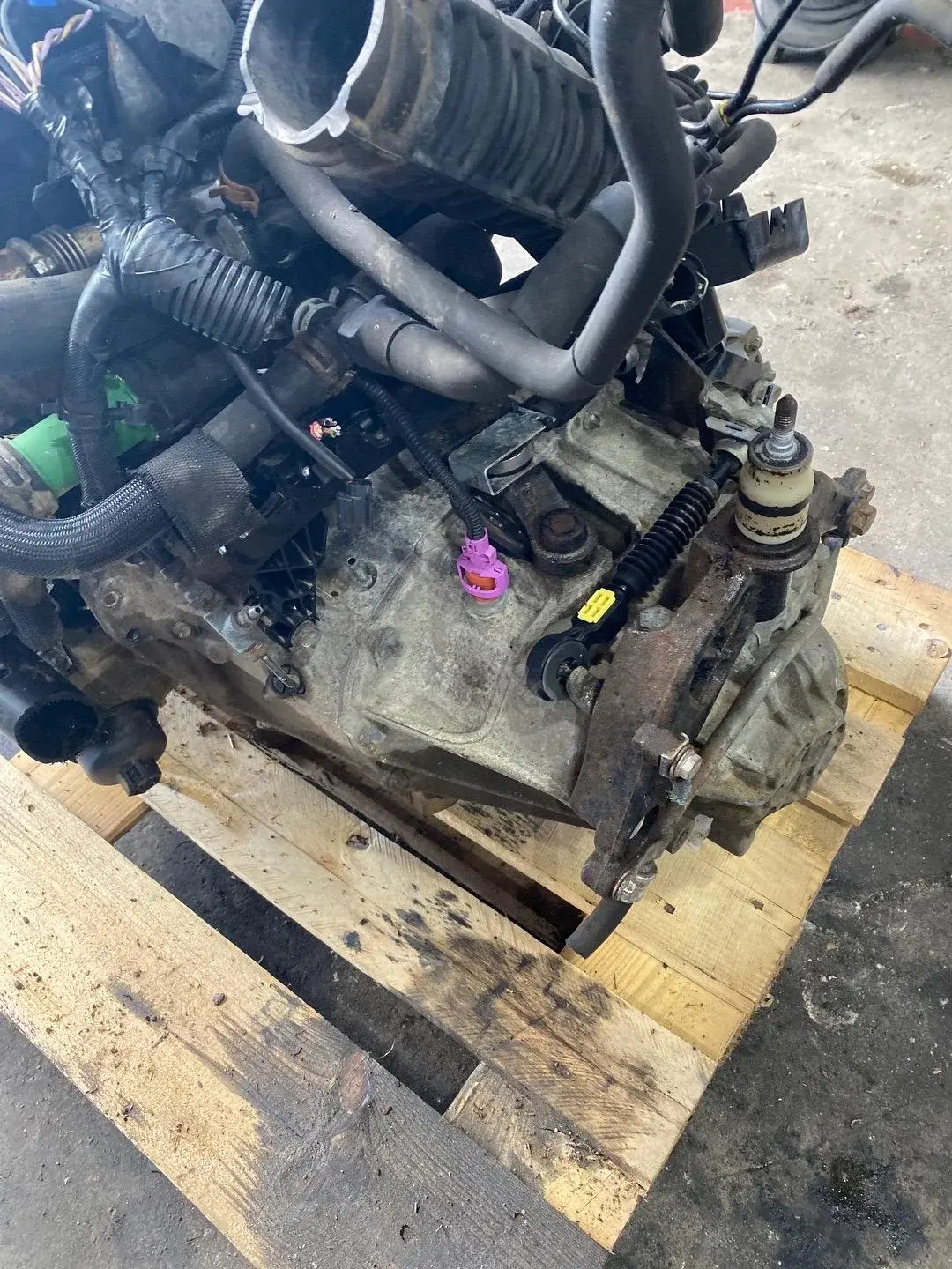 Механическая коробка передач (МКПП) 8200546202, PF6012