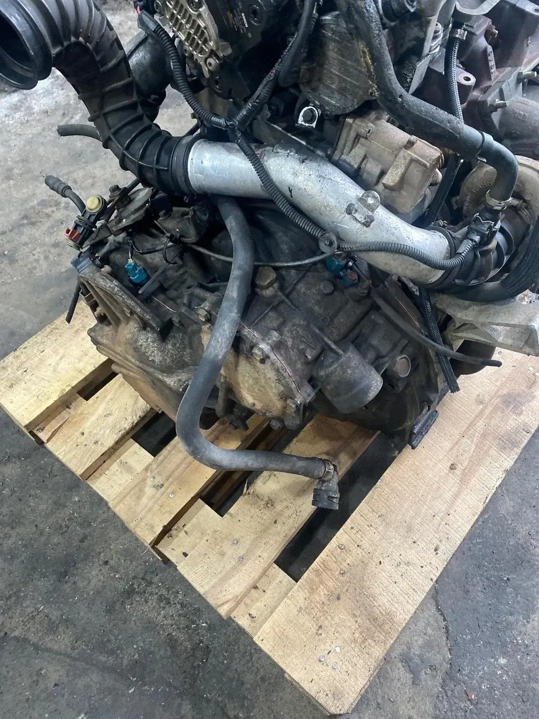Автоматическая коробка передач (АКПП) 55-51SN, 8251843, AW5051