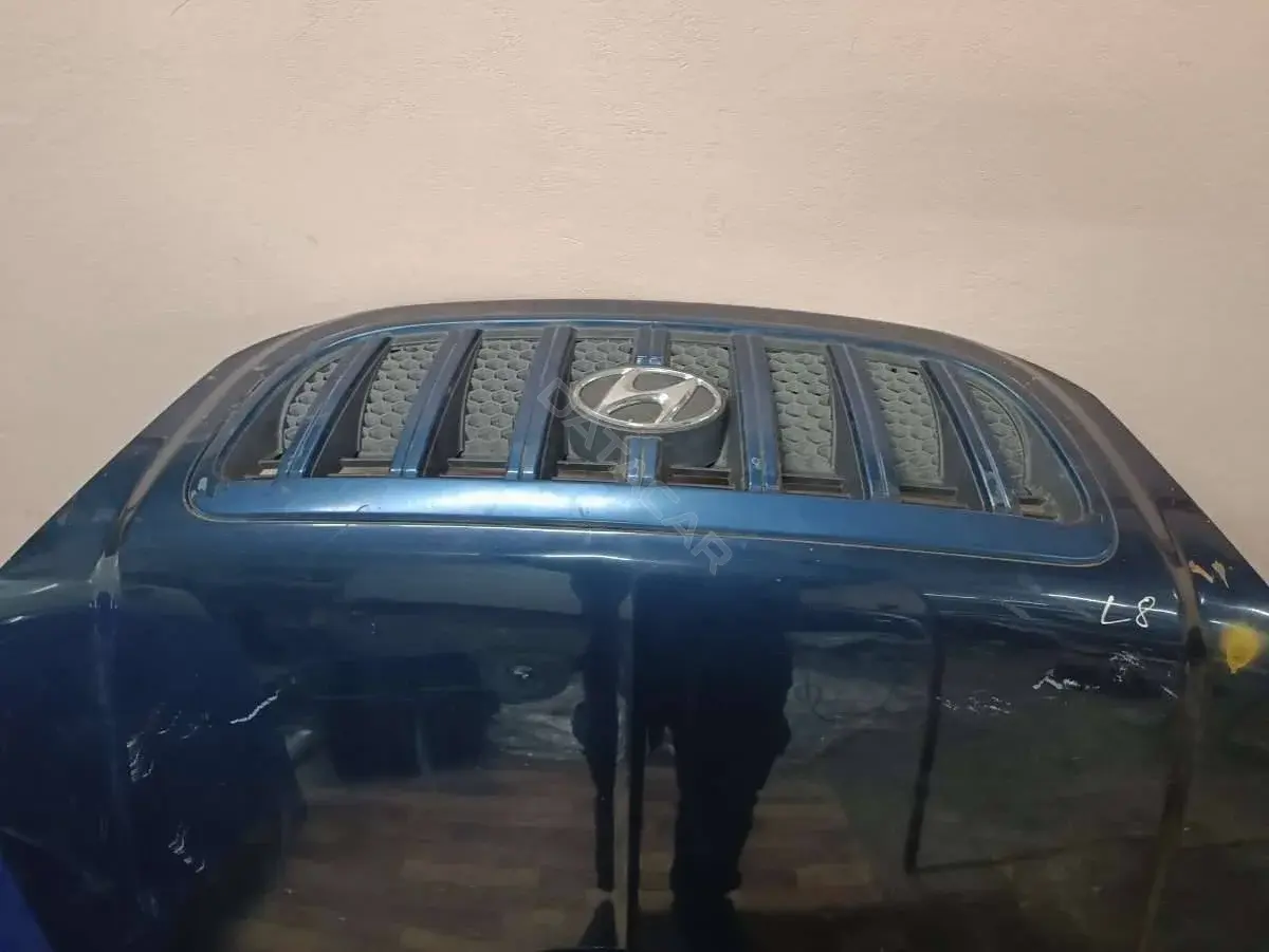 Капот 79000H1212