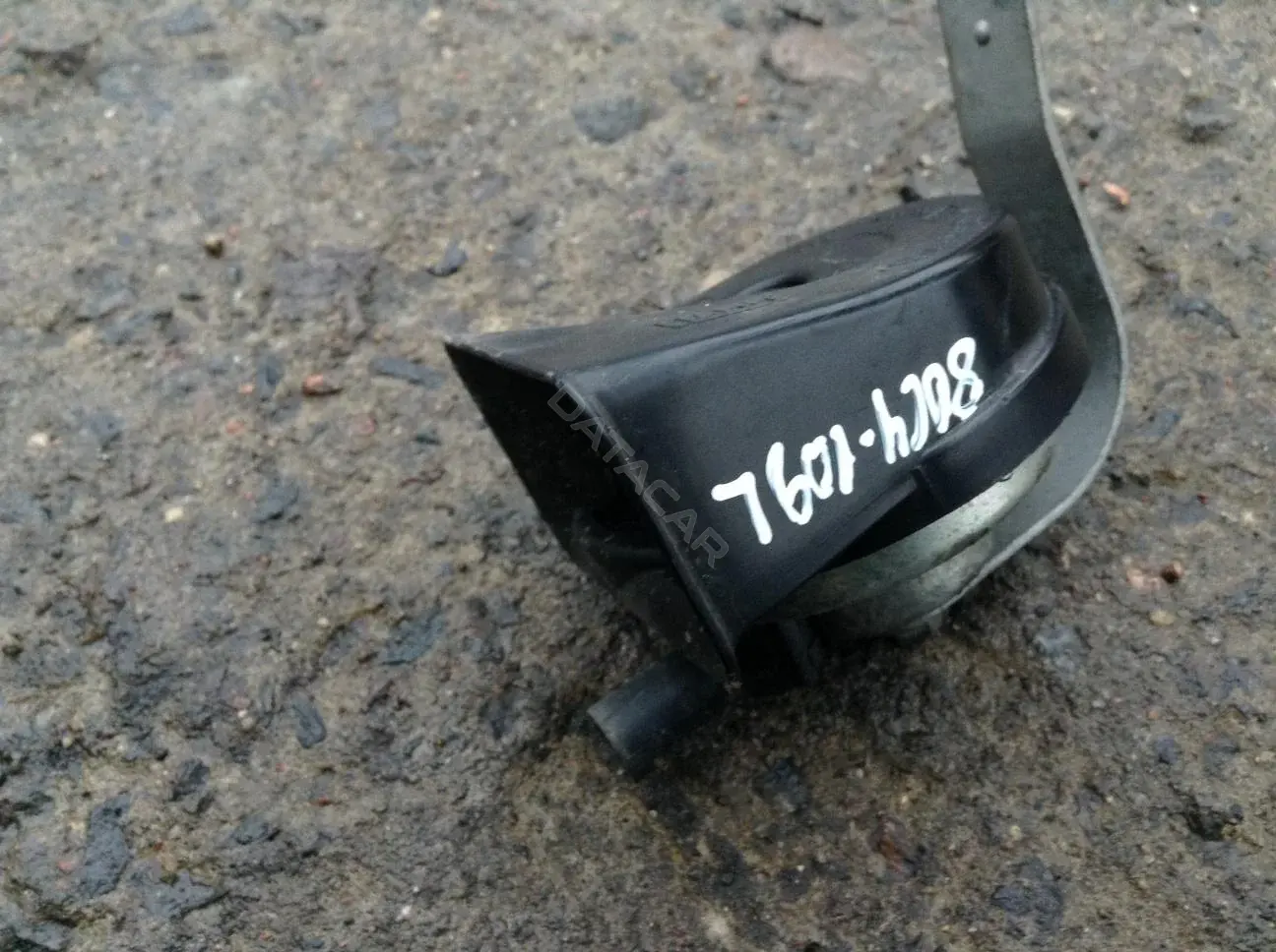 Звуковой сигнал 6935987