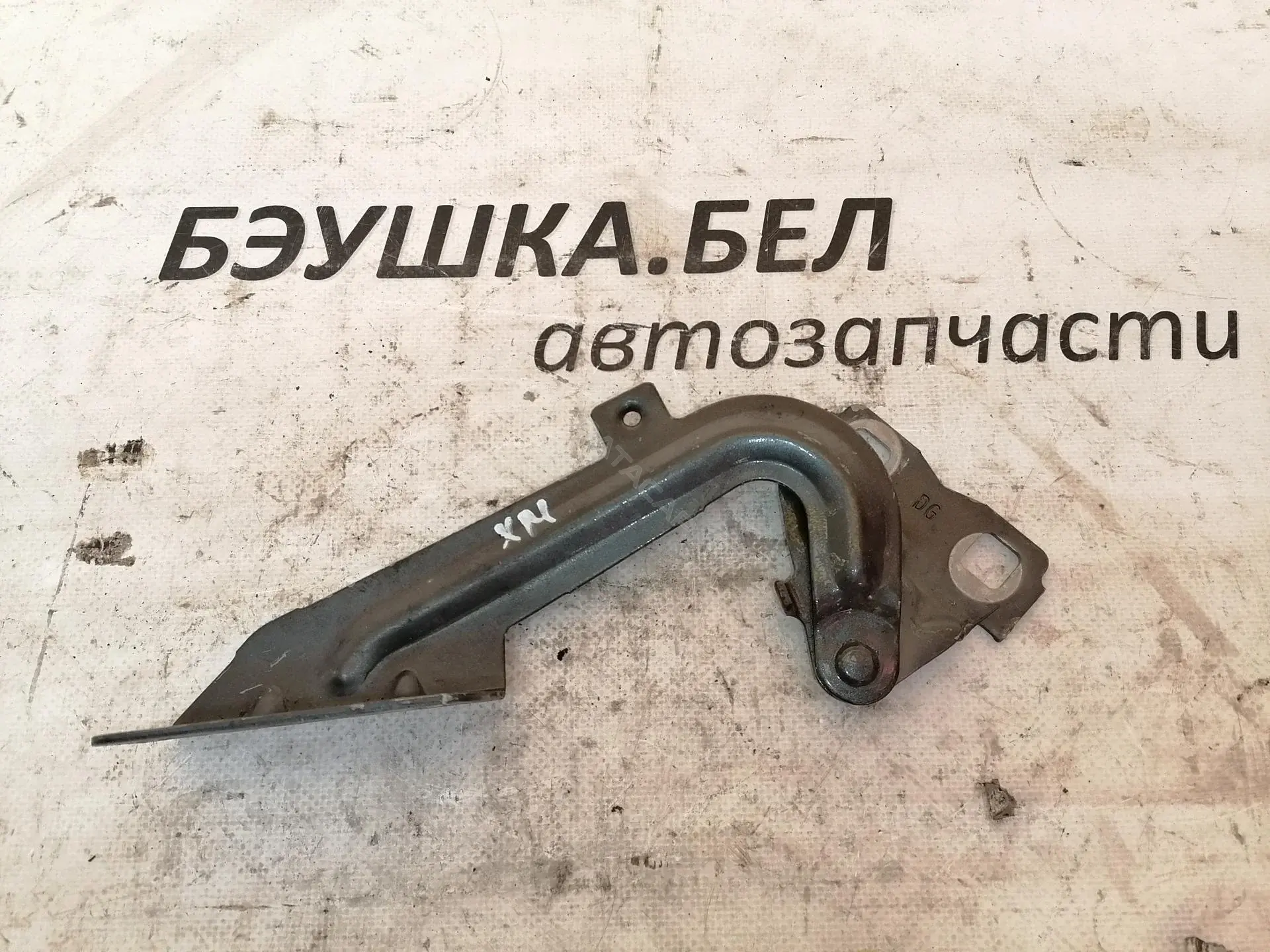 Петля капота P958148