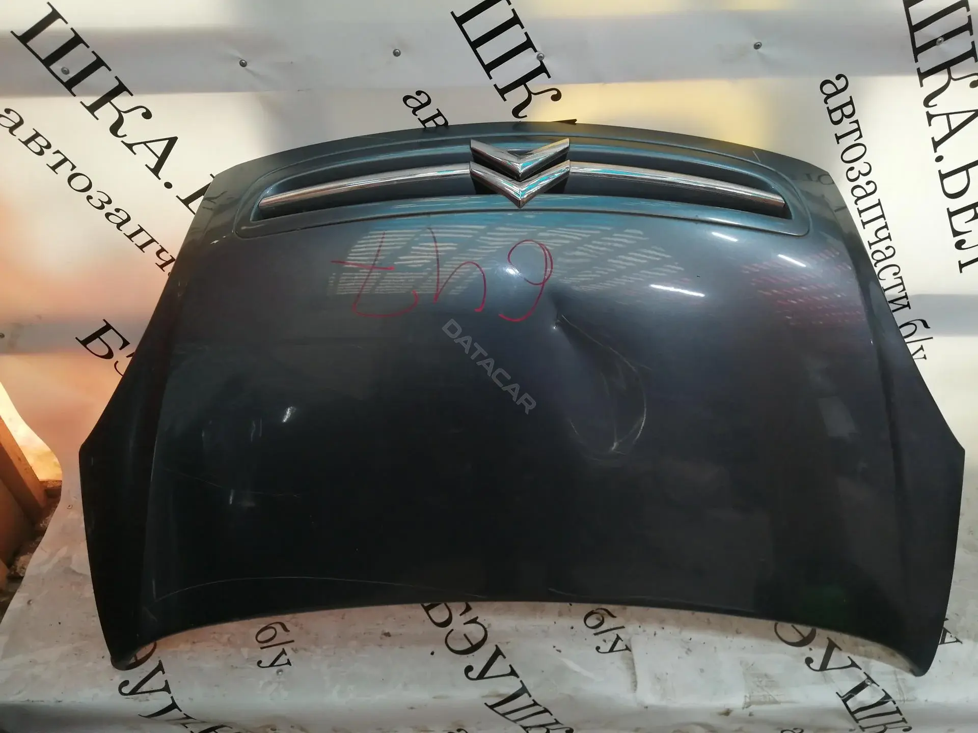 Капот 00007901H4, 0536280, 0536280A1