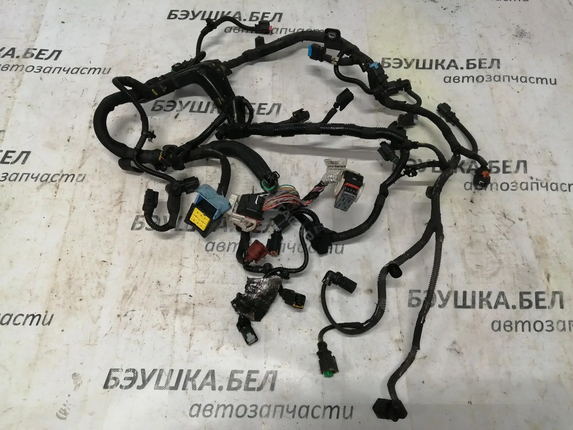 Жгут проводов 9803029080