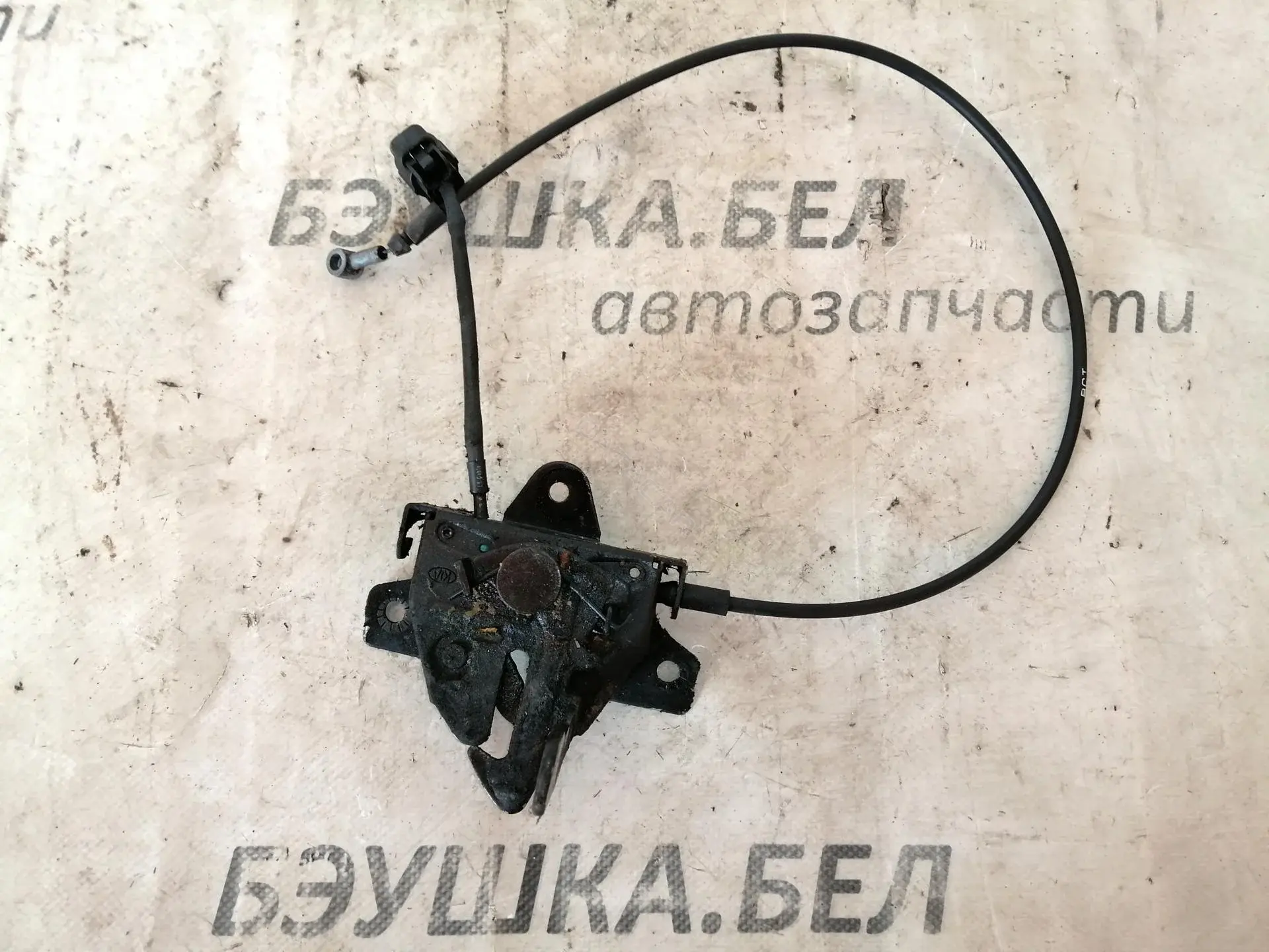 Замок капота 811302B010
