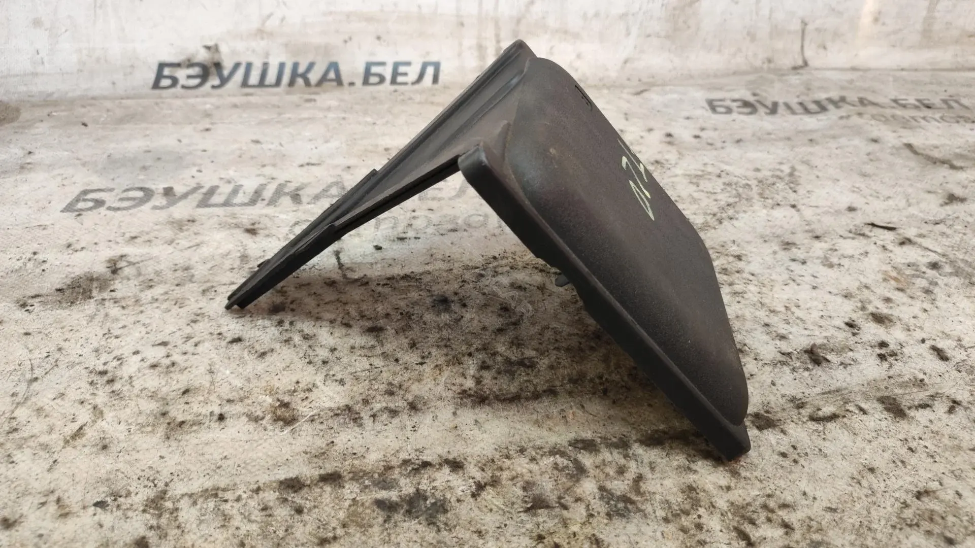 Крышка блока предохранителей 243820001R