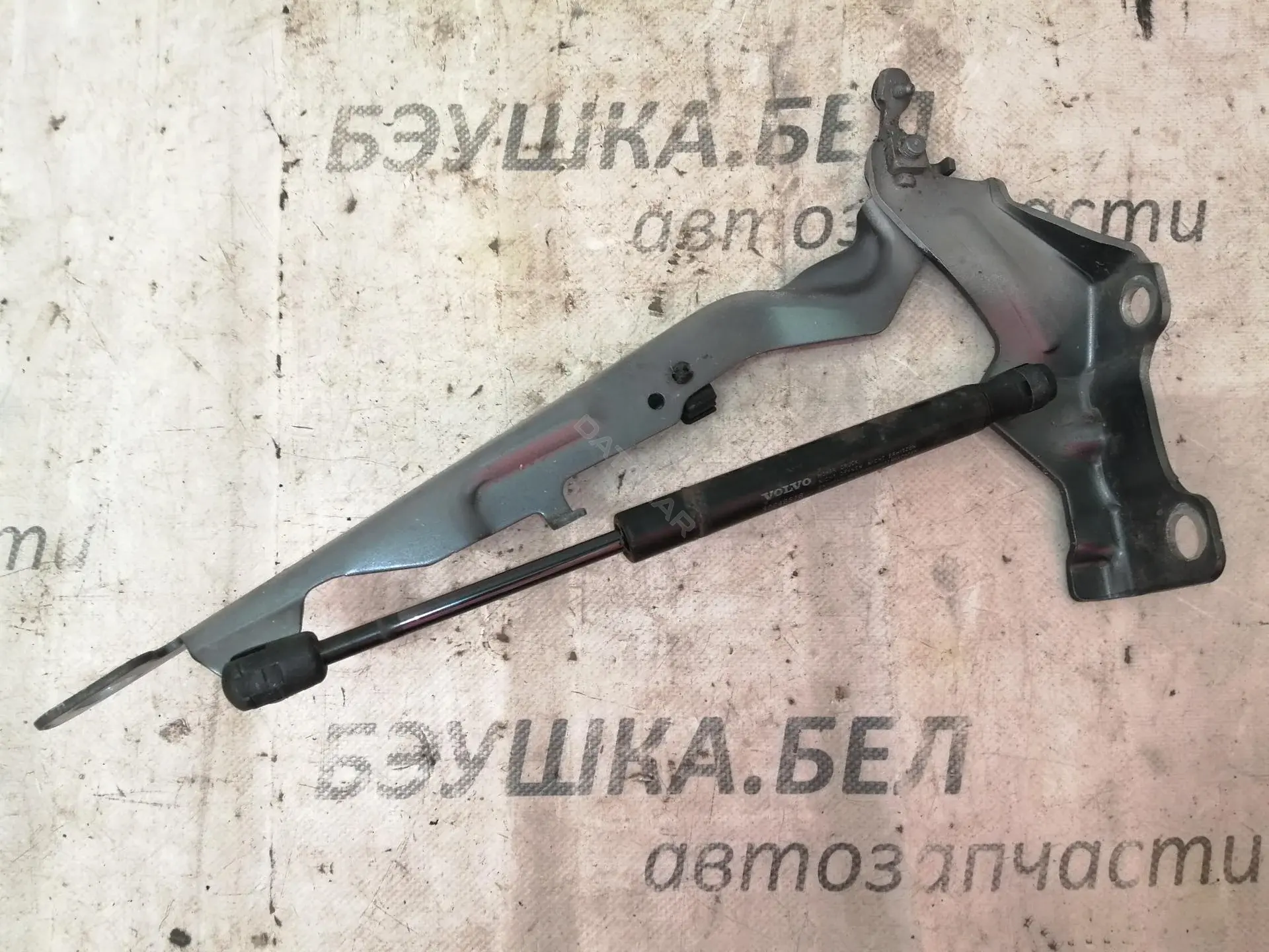 Петля капота 31385810