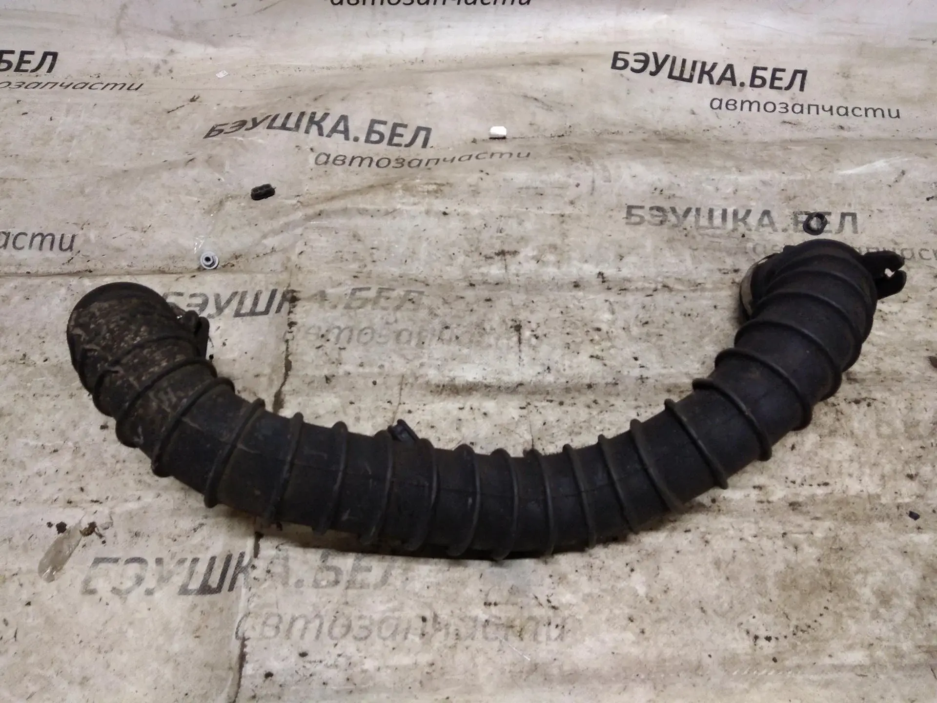 Патрубок интеркулера 8200582483
