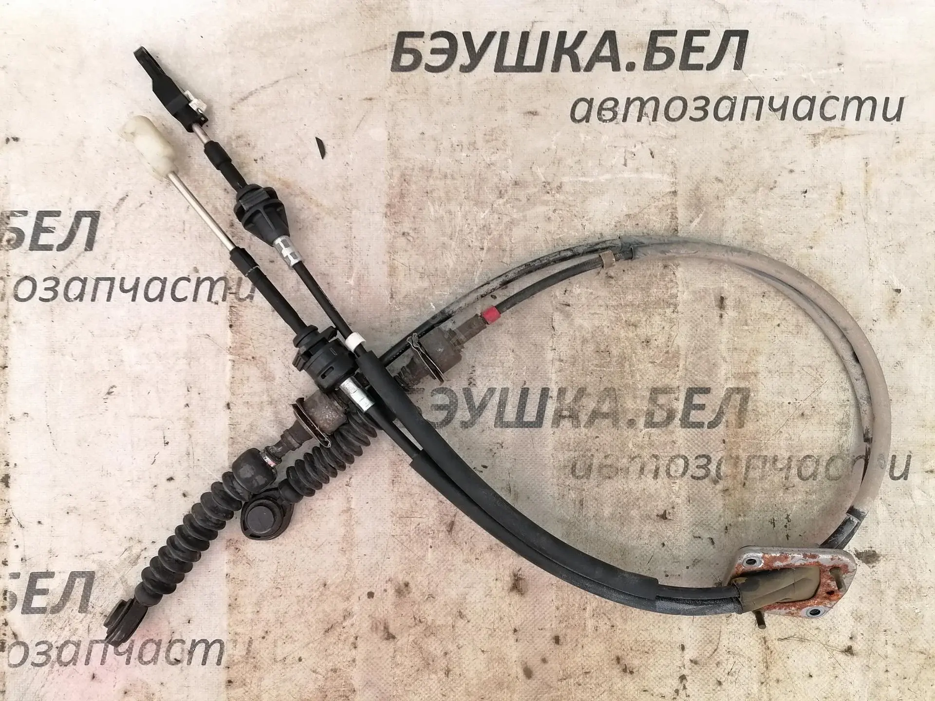 Трос КПП 00002444GE
