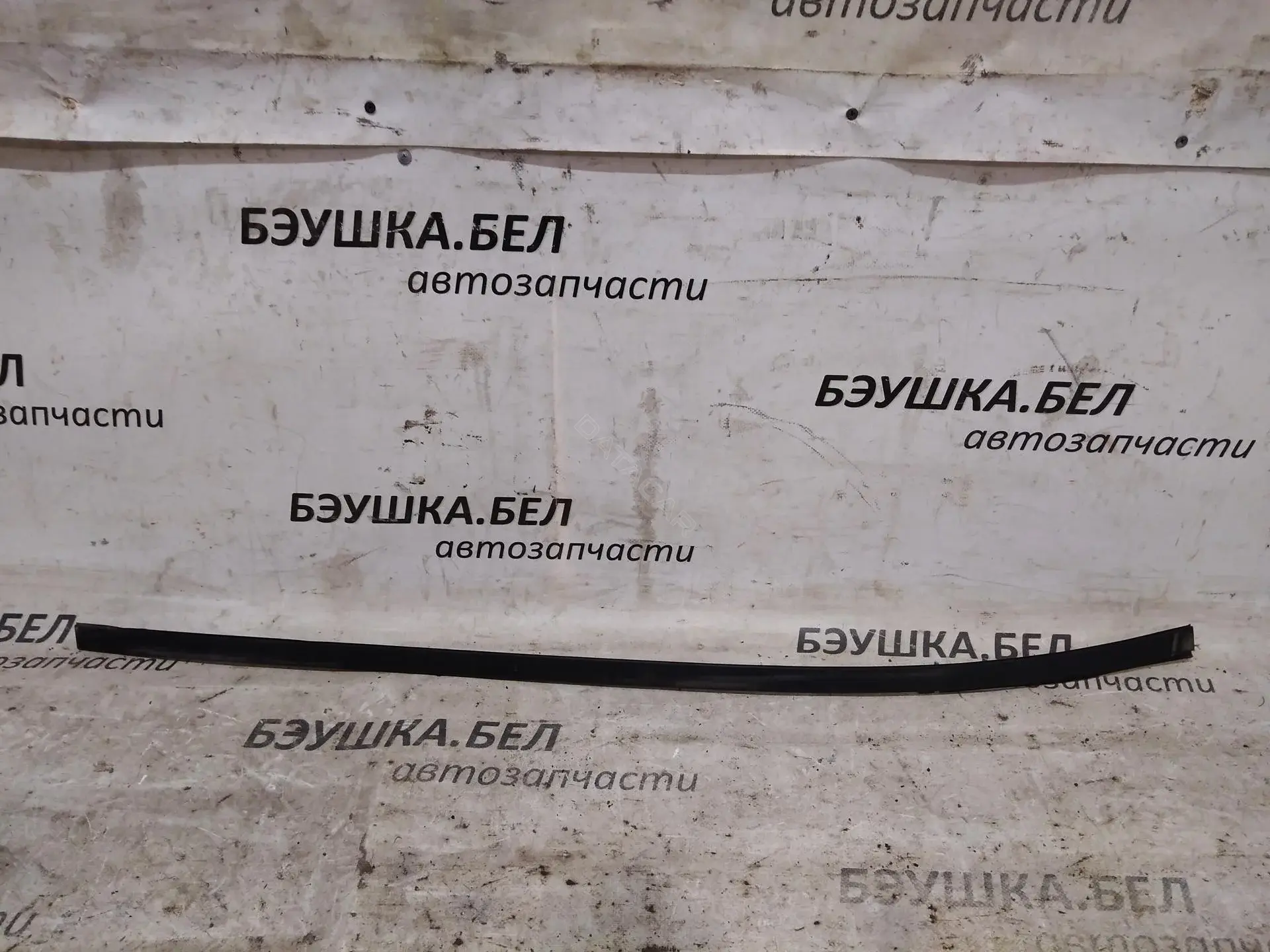 Молдинг лобового стекла 00008120T2