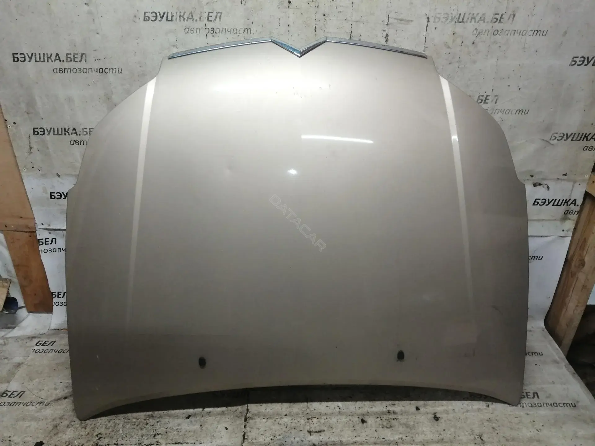 Капот 7901H9