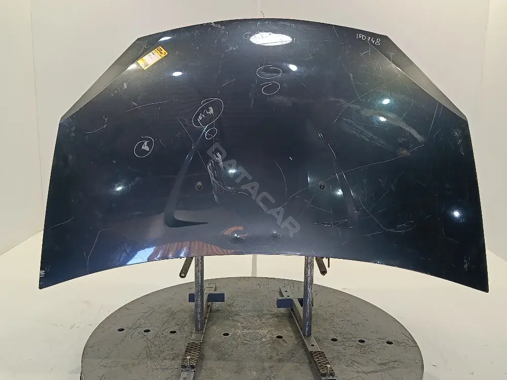 Капот 6001551793