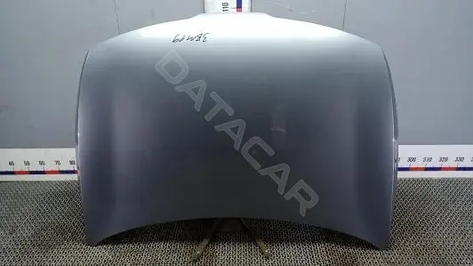 Капот 3BM19D201