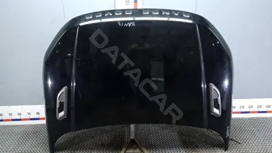 Капот 3BM13D201