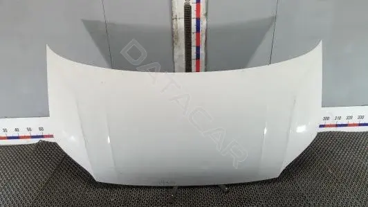 Капот XOK51D201