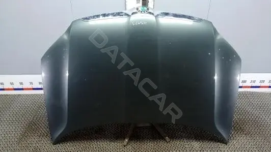 Капот 5L0823031