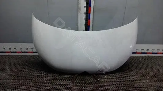 Капот 9BM24D201