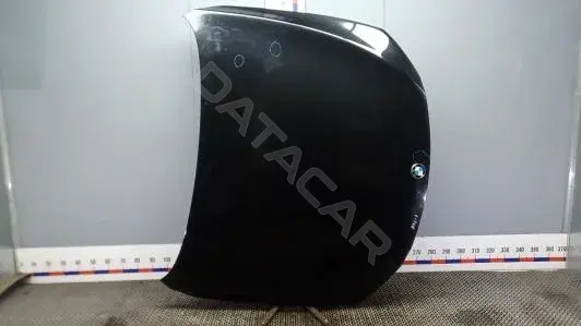 Капот 8BG17D201