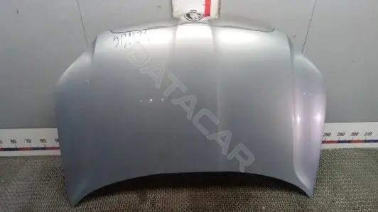 Капот 5L0823031
