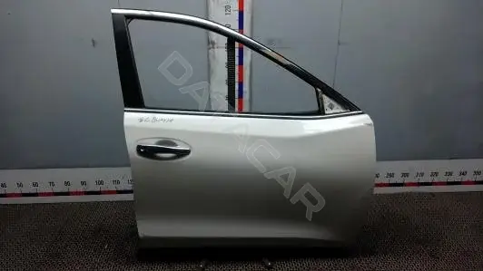 Дверь LBM10E201