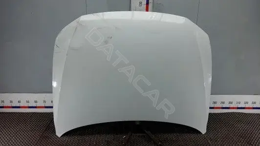 Капот 3G0823031C
