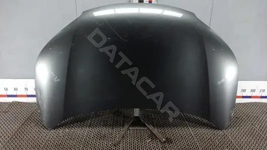 Капот HBM31D201